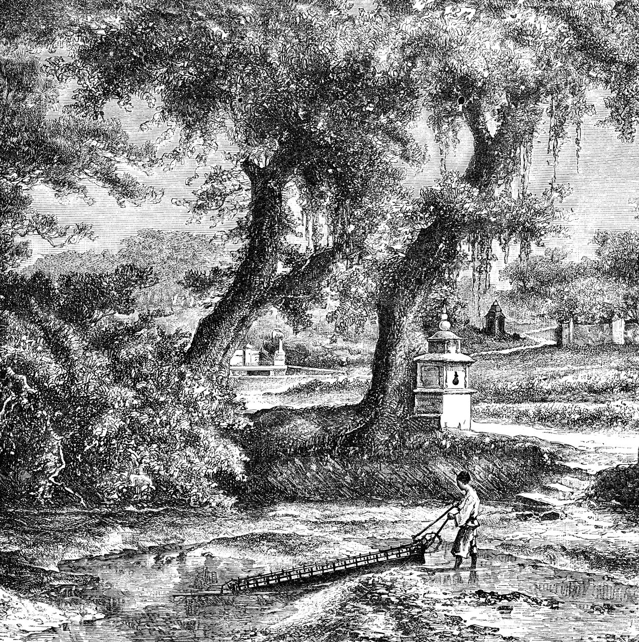 Öntözőszivattyú, Dél-Kína, c1890 alkotó: Unbekannt
