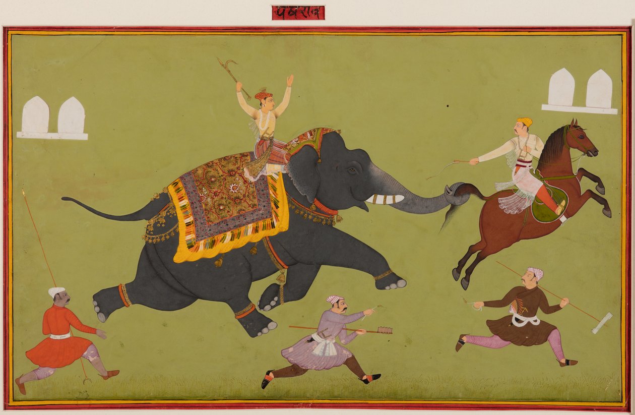 Jai Singh elefántja, Pakhrao, ámulatba ejtett, és elkap egy lovat a farkánál, kb. 1680. alkotó: Unbekannt