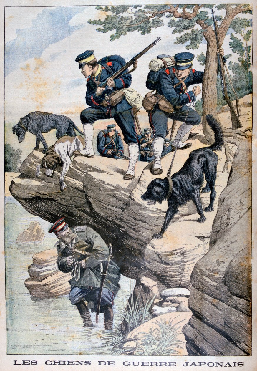 Kutyás japán katonák egy bujkáló oroszt találnak, orosz-japán háború, 1904 alkotó: Unbekannt