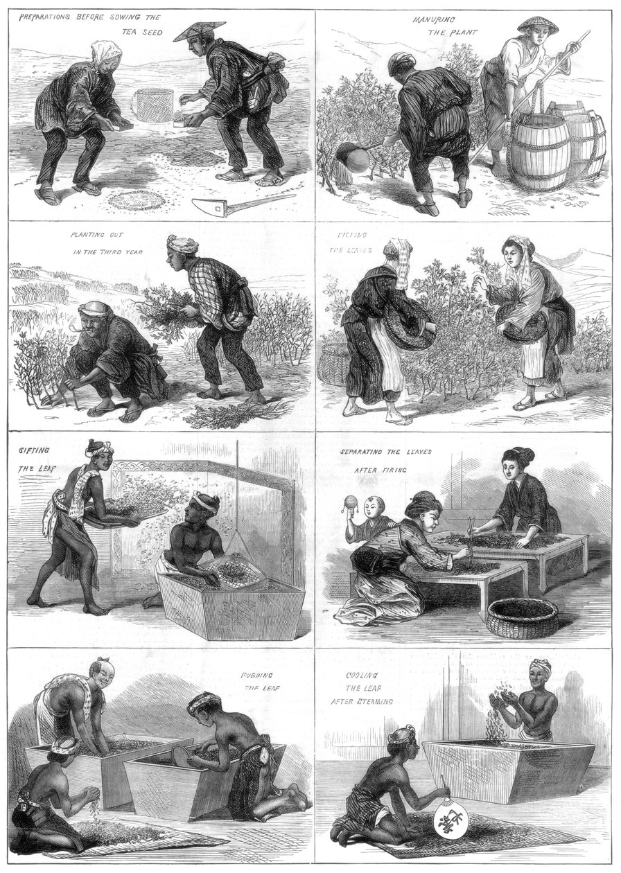 Japán teagyártás, 1874 alkotó: Unbekannt