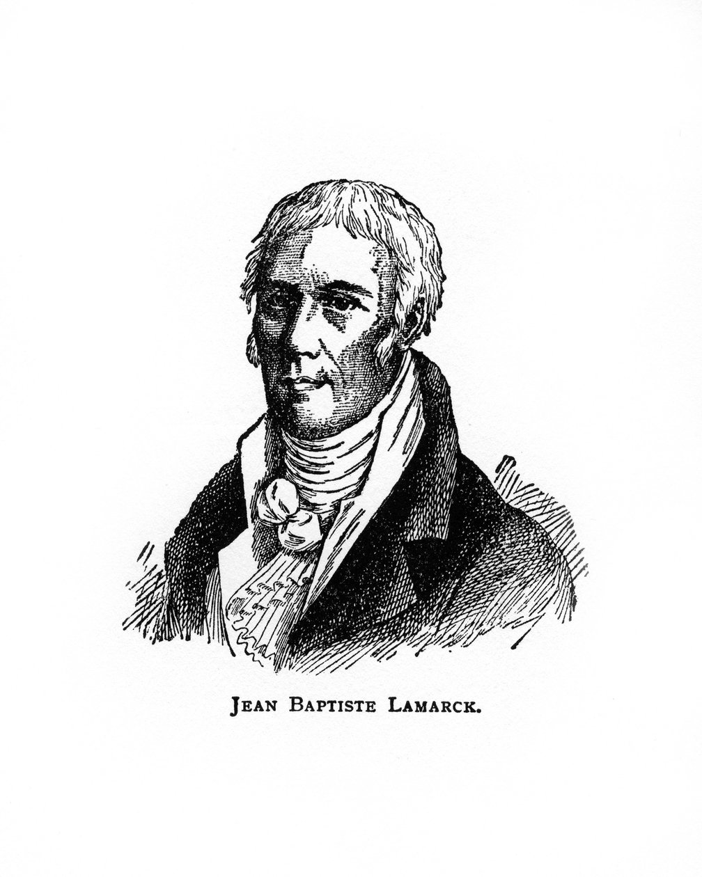 Jean-Baptiste Lamarck francia természettudós, XX alkotó: Unbekannt