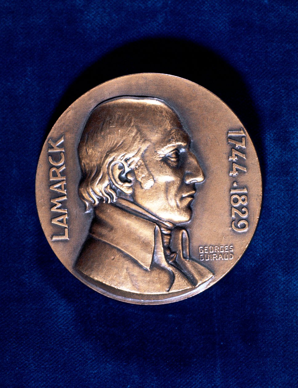Jean Lamarck francia természettudós alkotó: Unbekannt