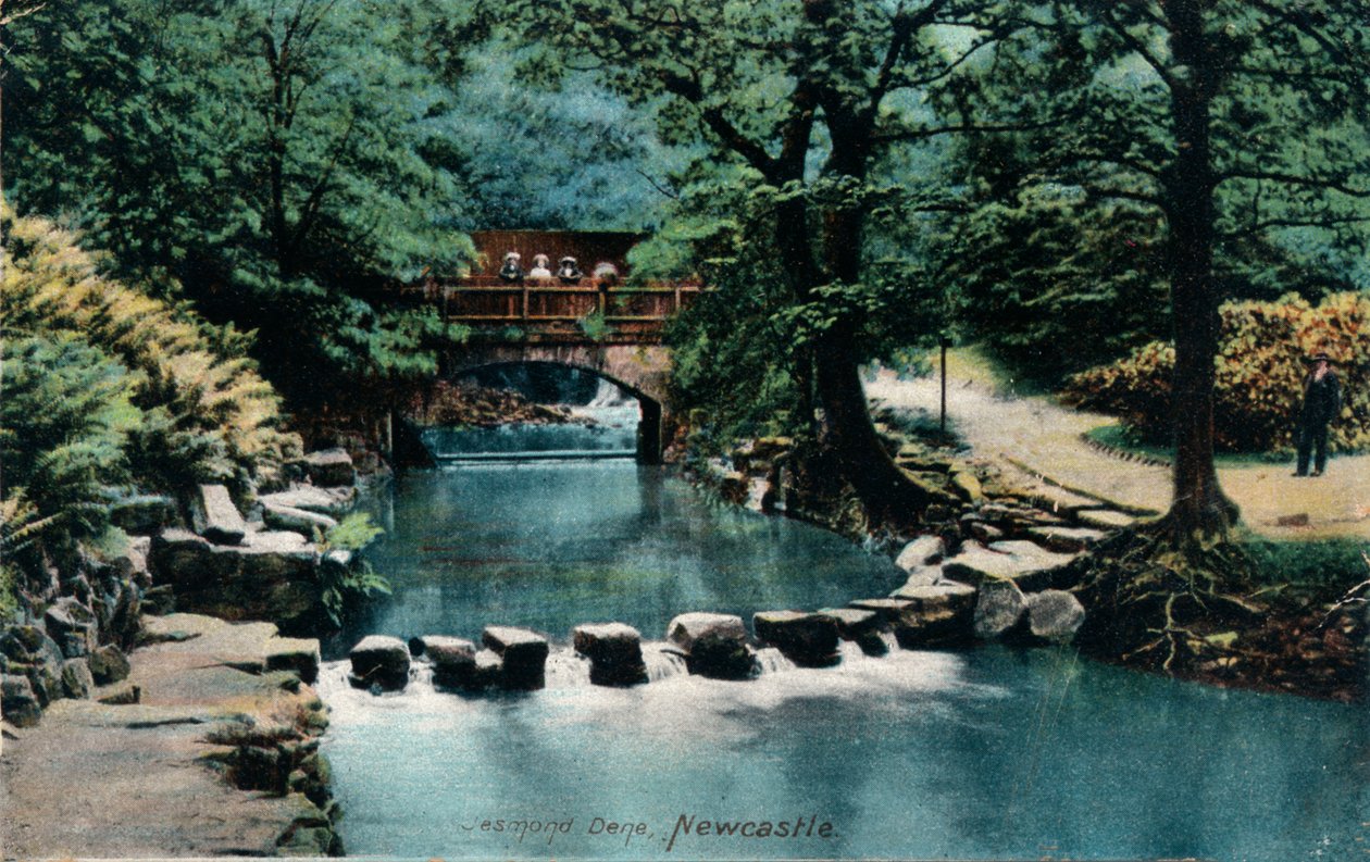 Jesmond Dene, Newcastle, 1905 alkotó: Unbekannt