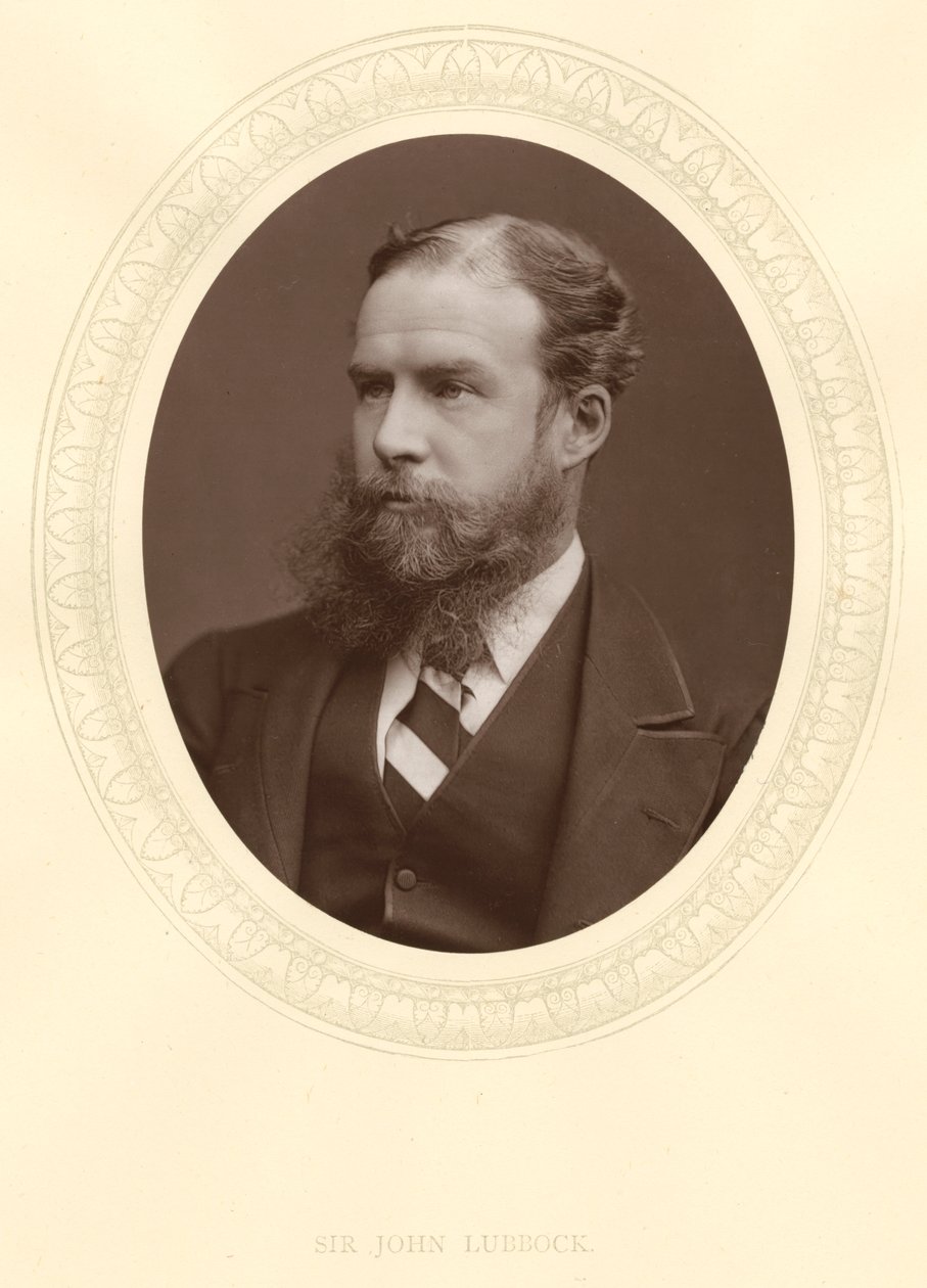 John Lubbock, az első Baron Avebury, angol bankár, régész, természettudós és politikus, 1880 alkotó: Unbekannt