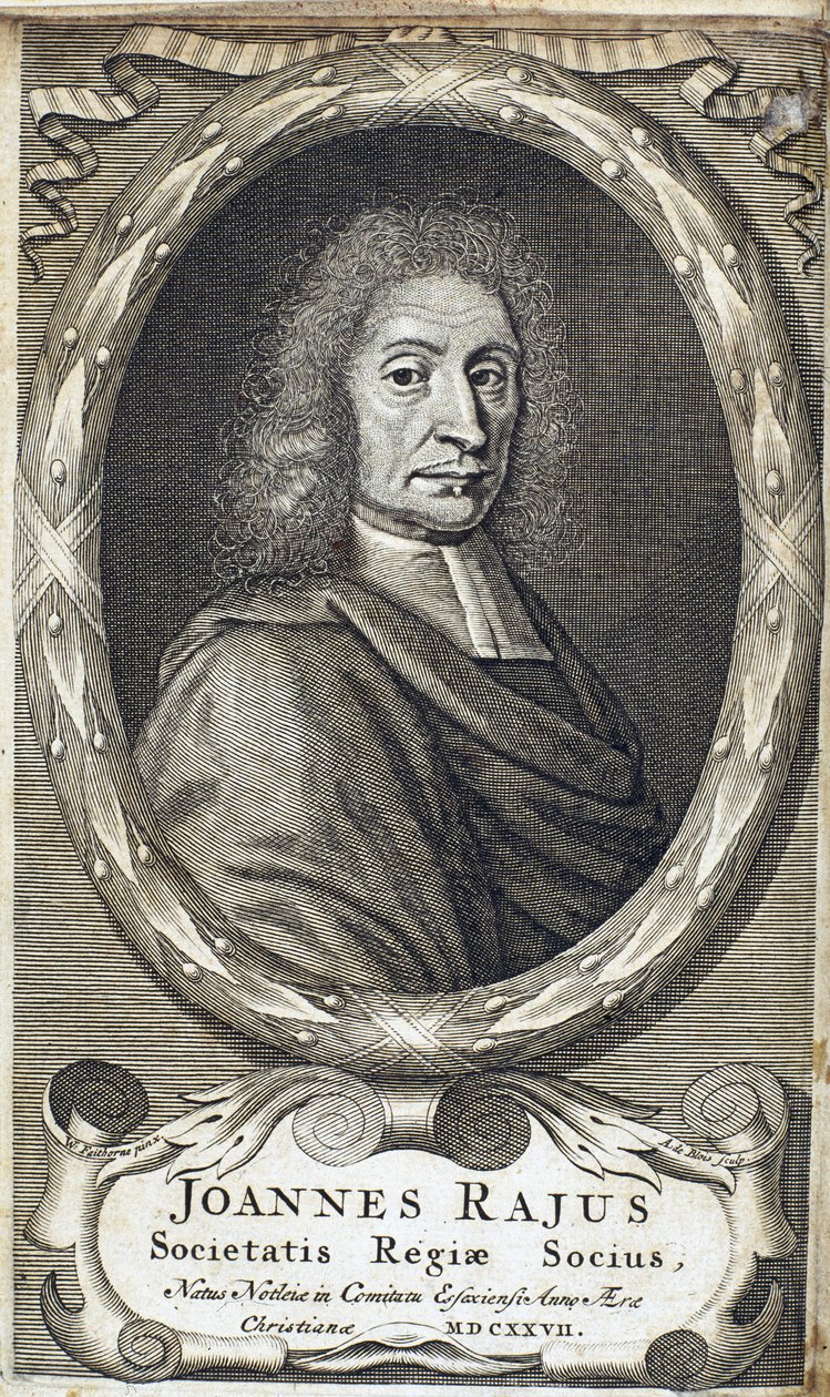 John Ray (Wray), angol természettudós, 1700 körül alkotó: Unbekannt