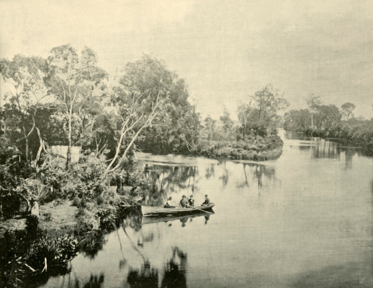 A Glengarry és Thompson Rivers csomópontja, Victoria, 1901. alkotó: Unbekannt