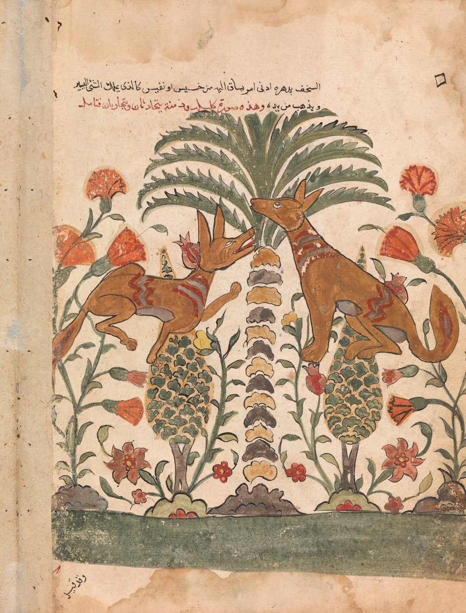 Kalila Upbraiding Dimna, Folio from a Kalila wa Dimna, 18. század. alkotó: Unbekannt