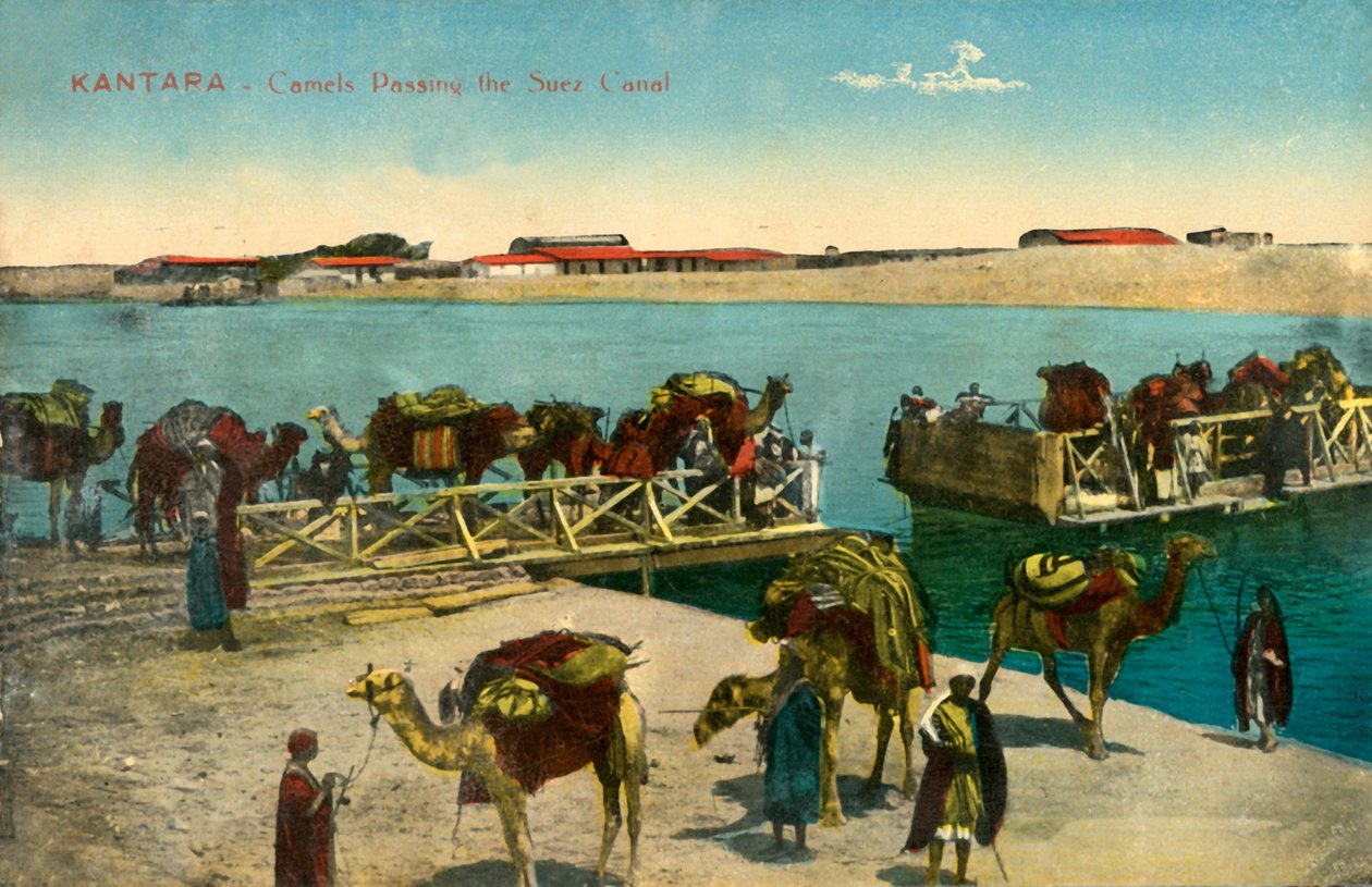 Kantara – A Szuezi-csatornán áthaladó tevék, c1918-c1939. alkotó: Unbekannt