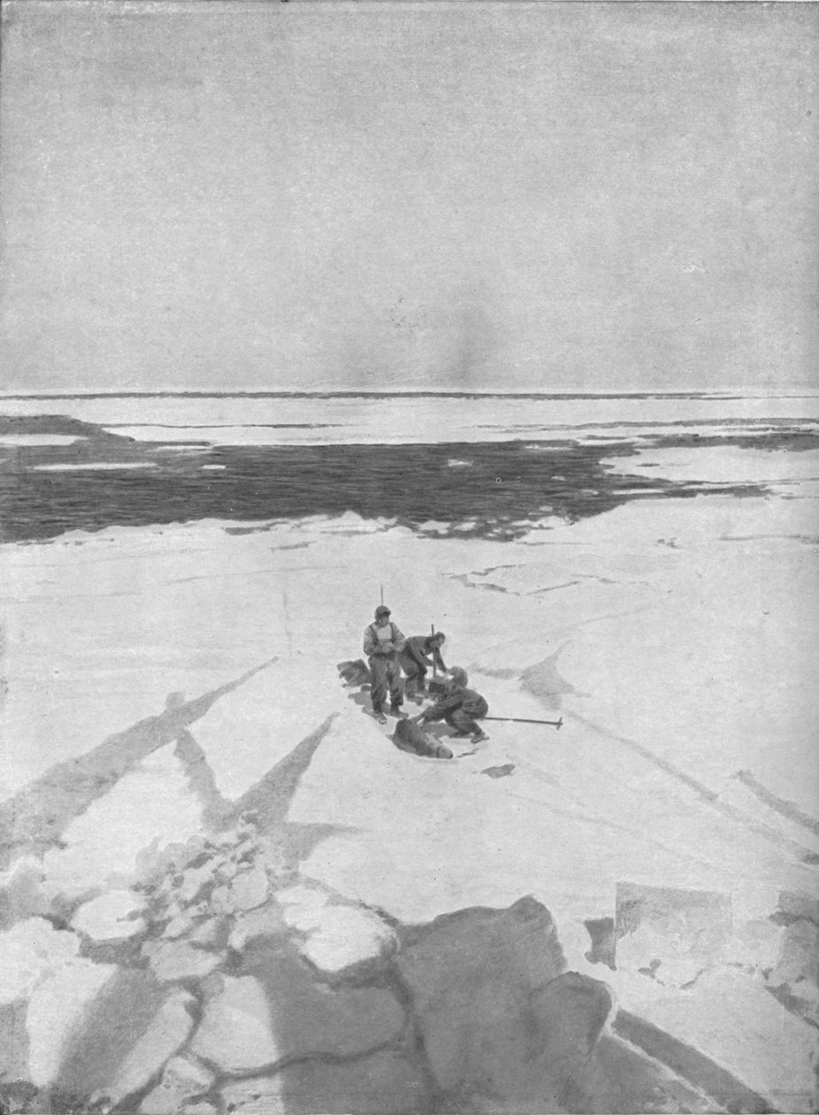 Pecsétek megölése, 1911, 1928 alkotó: Unbekannt