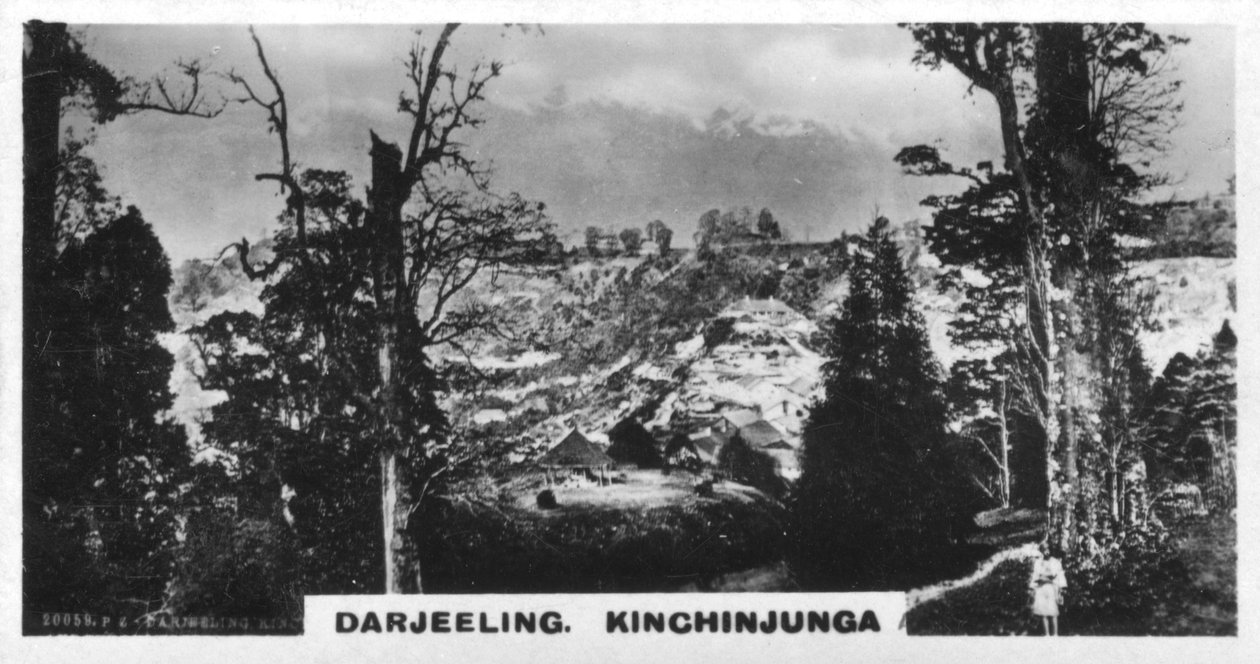 Kinchinjunga Beechwoodból, Darjeeling, India, 1925 alkotó: Unbekannt