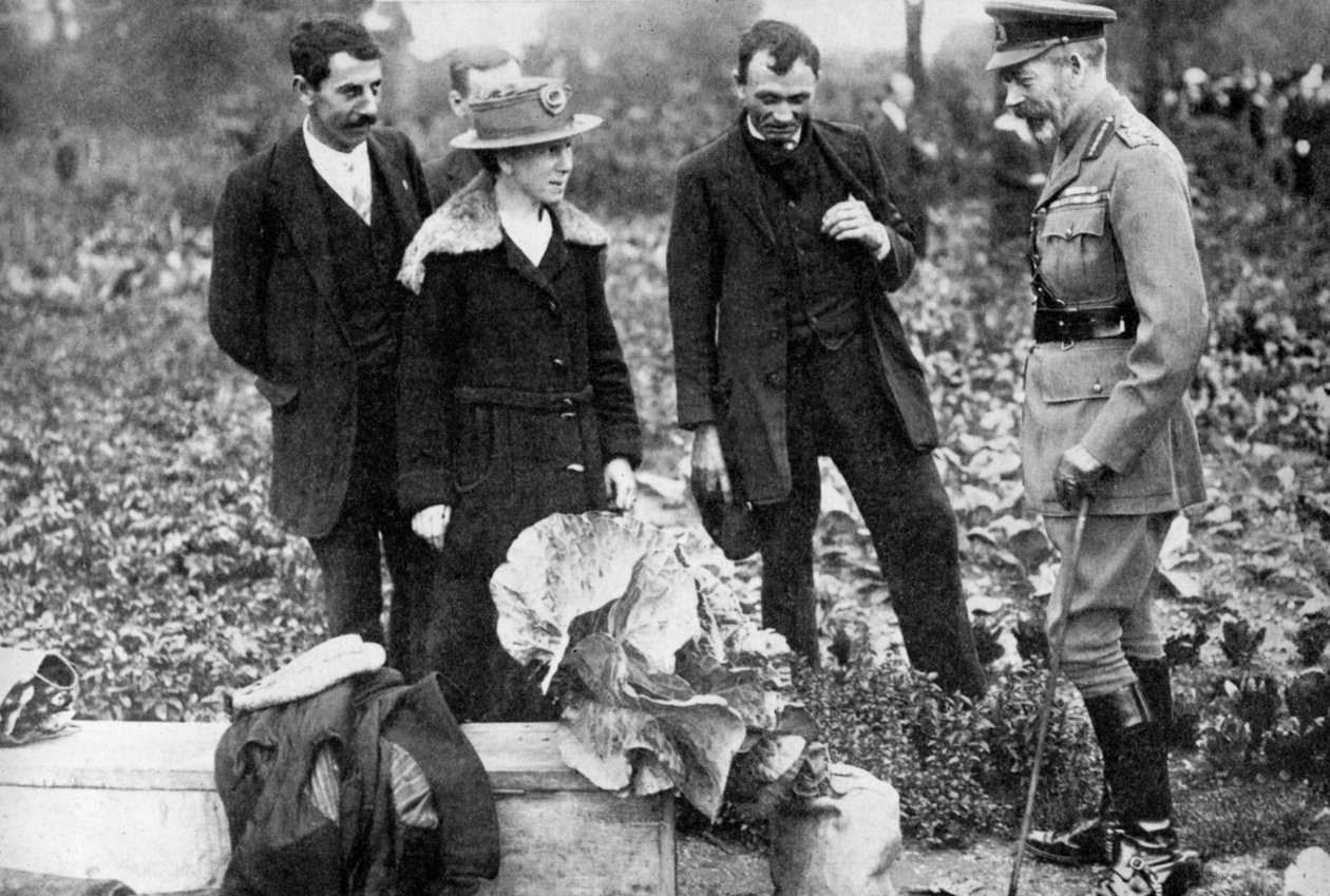 V. György király megcsodálja a londoni Clapham Common területeit, 1910-es és 1920-as évek között, 1936 alkotó: Unbekannt