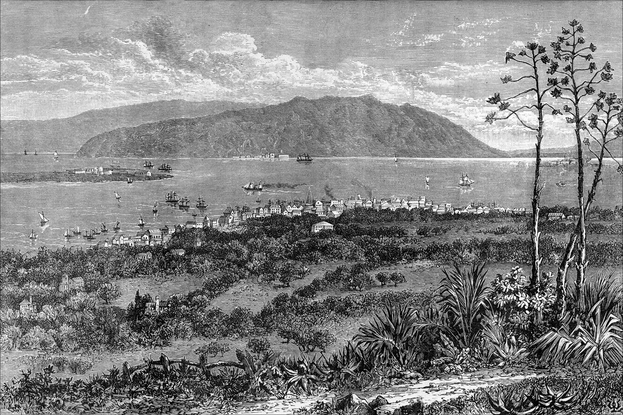 Kingston Harbour, Jamaica, 1880 alkotó: Unbekannt