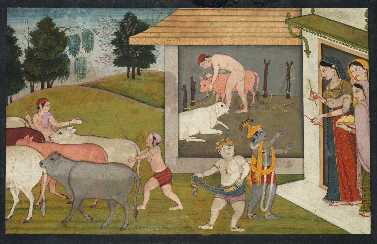 Krisna és Lakshmana kiviszik a szarvasmarhát legeléshez, oldal a Bhagavata Puránából, kb. 1780-1790. alkotó: Unbekannt