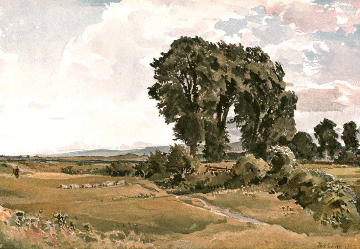 Tájkép, Wareham közelében, Dorset – egy szabadtéri vázlat, c1900. alkotó: Unbekannt