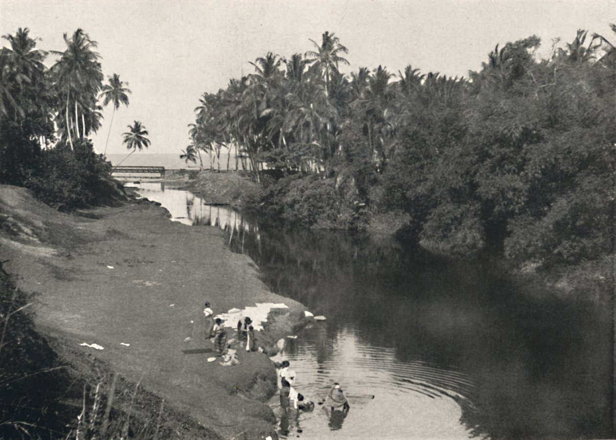 Folyói táj Dehiwalában, Colombo és Mount Lavinia között, 1926 alkotó: Unbekannt