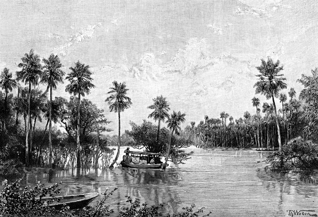 Las Palmes Lagunas, a Pilcomayo torkolatának közelében, 1895 alkotó: Unbekannt