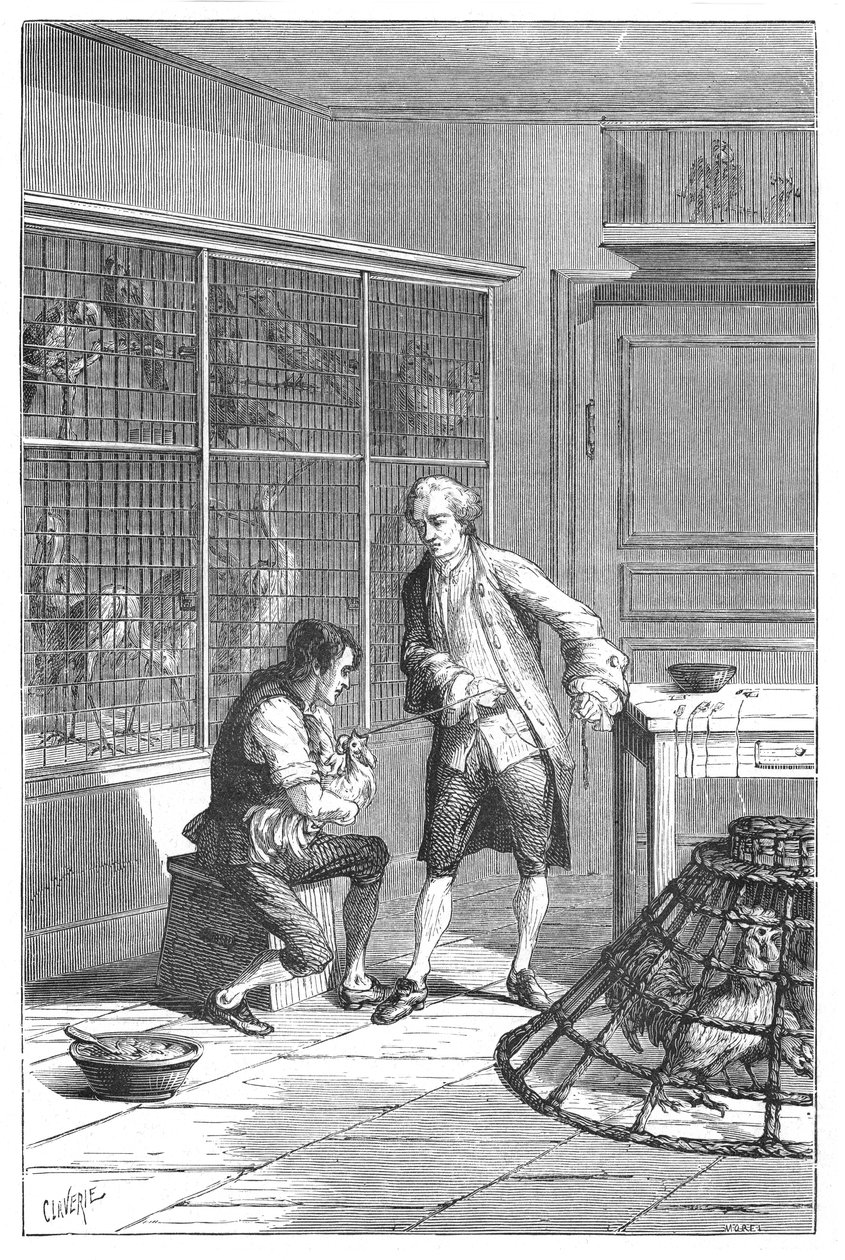 Lazaro Spallanzani, 18. századi olasz természettudós és biológus, 1874 alkotó: Unbekannt