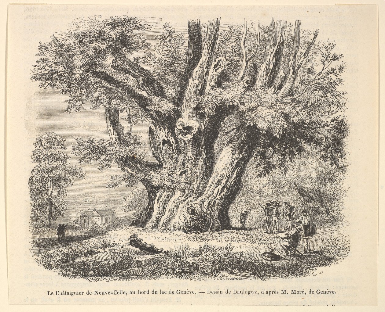 Neuve-Celle gesztenyefa a Genfi-tó partján, Daubigny után, 1835-78. alkotó: Unbekannt