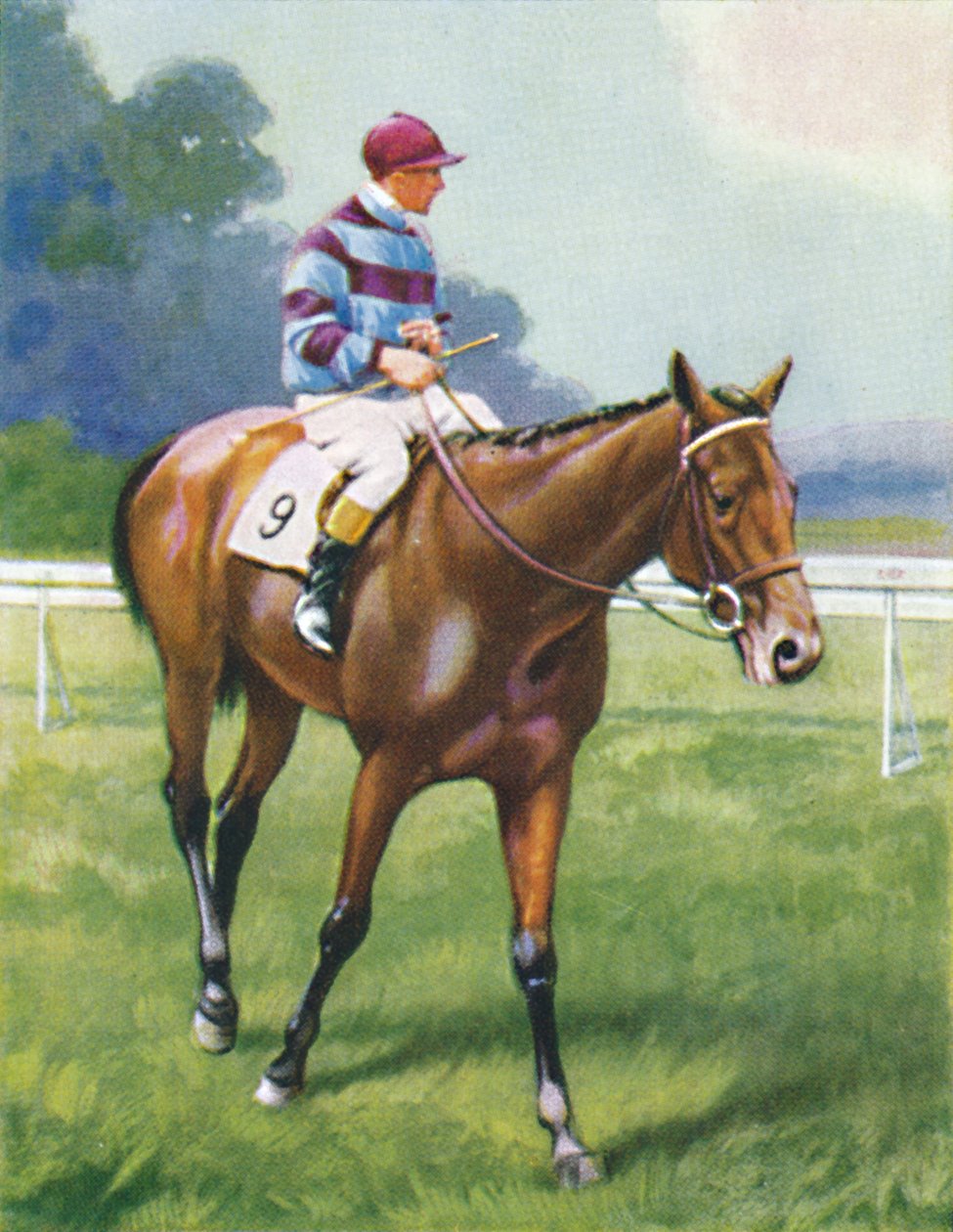 Franciaország legendája, Jockey: A. Richardson, 1939 alkotó: Unbekannt