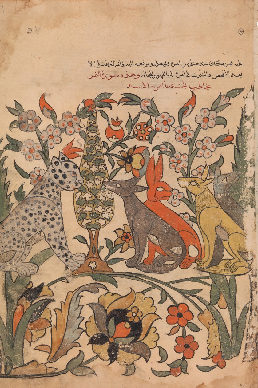Oroszlánrendet viselő leopárd bírótársaknak, Folio 51 recto a Kalila wa Dimnából, 18. század. alkotó: Unbekannt