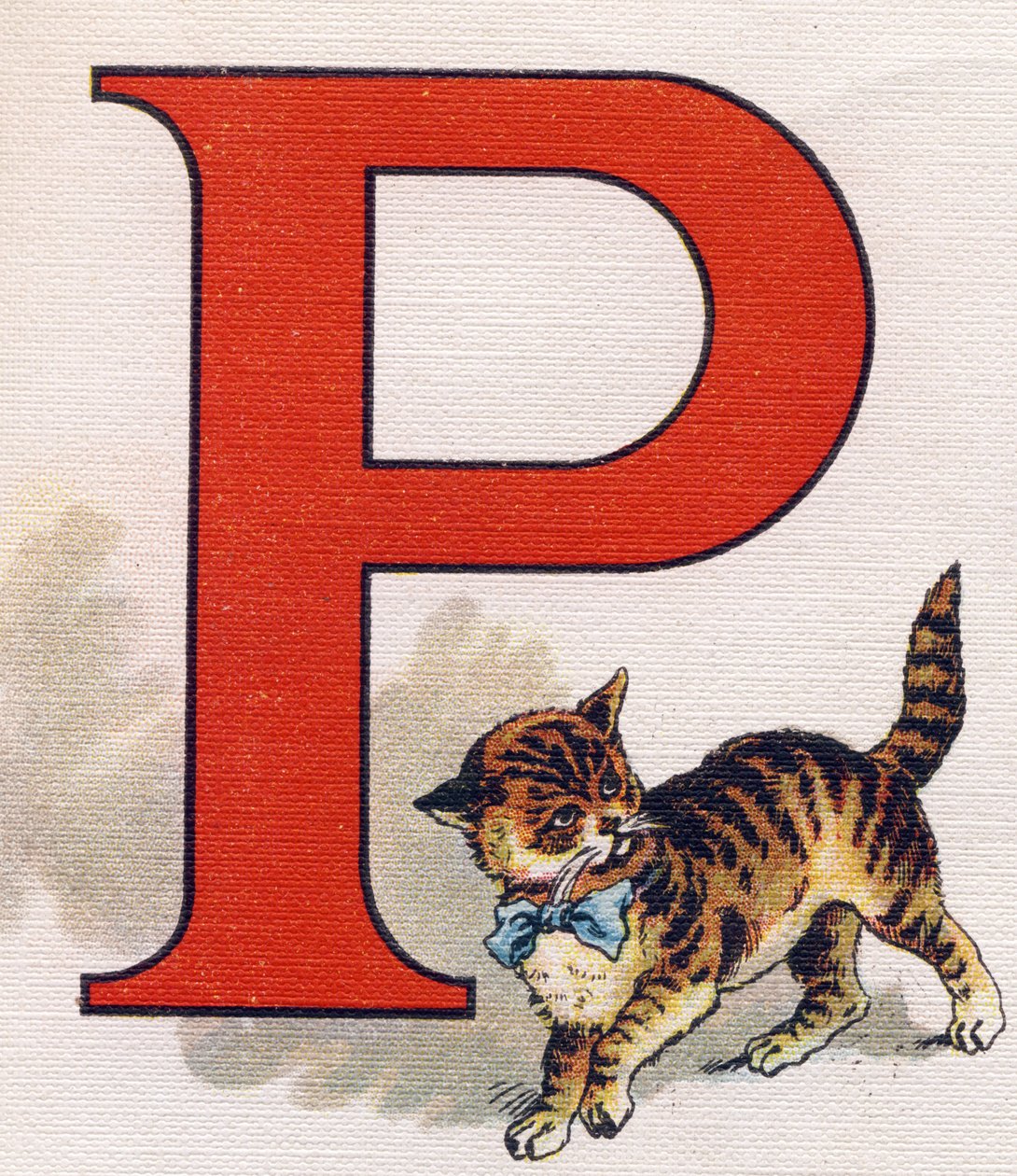 P betű: kis macska. Metszet "ABC L