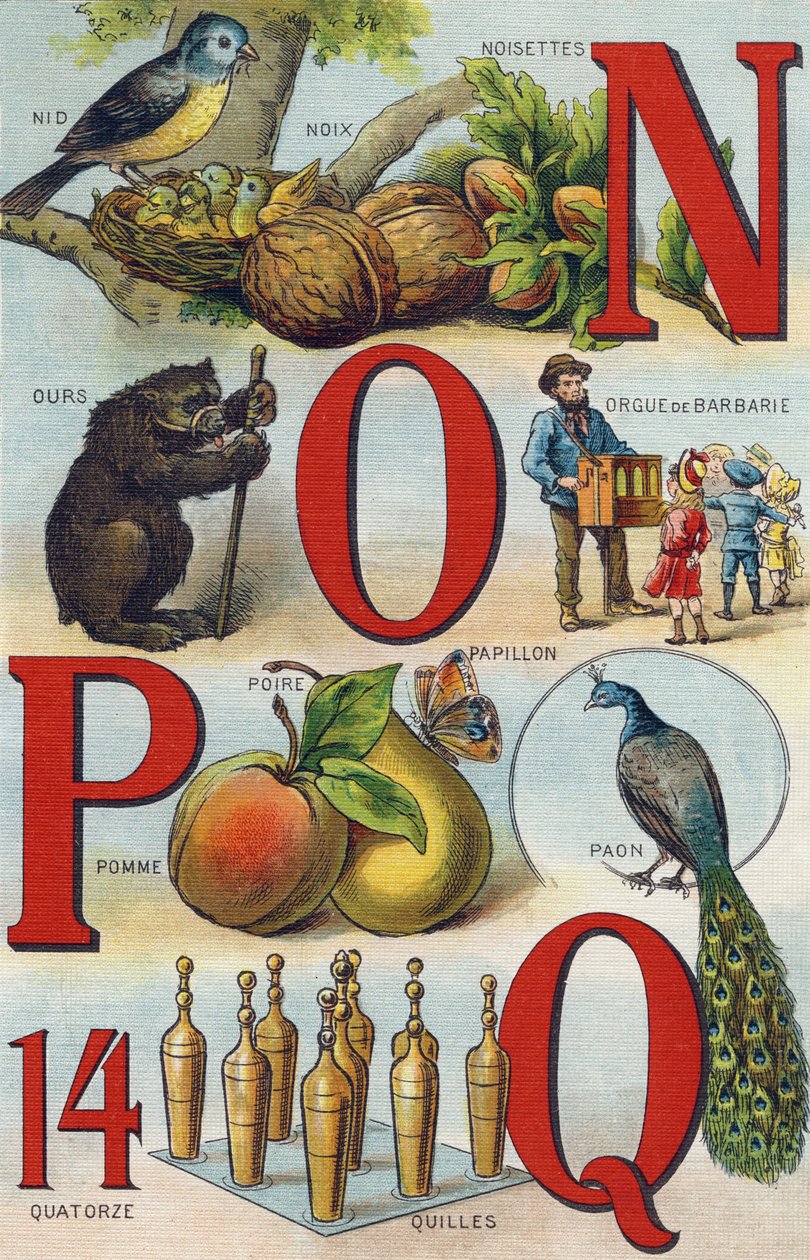 N O P Q betűk; Fészek; Mogyoró; Pici orgona; Medve; Páva; Pillangó Alma Körte; tálak. Metszet "Alphabet de ma petite fille". Bernardin-Bechet és Fils, könyvkereskedő-kiadók, Párizs, 1895 körül. Törhetetlen album vásznon. Bibliotheque des Bebe alkotó: Unbekannt