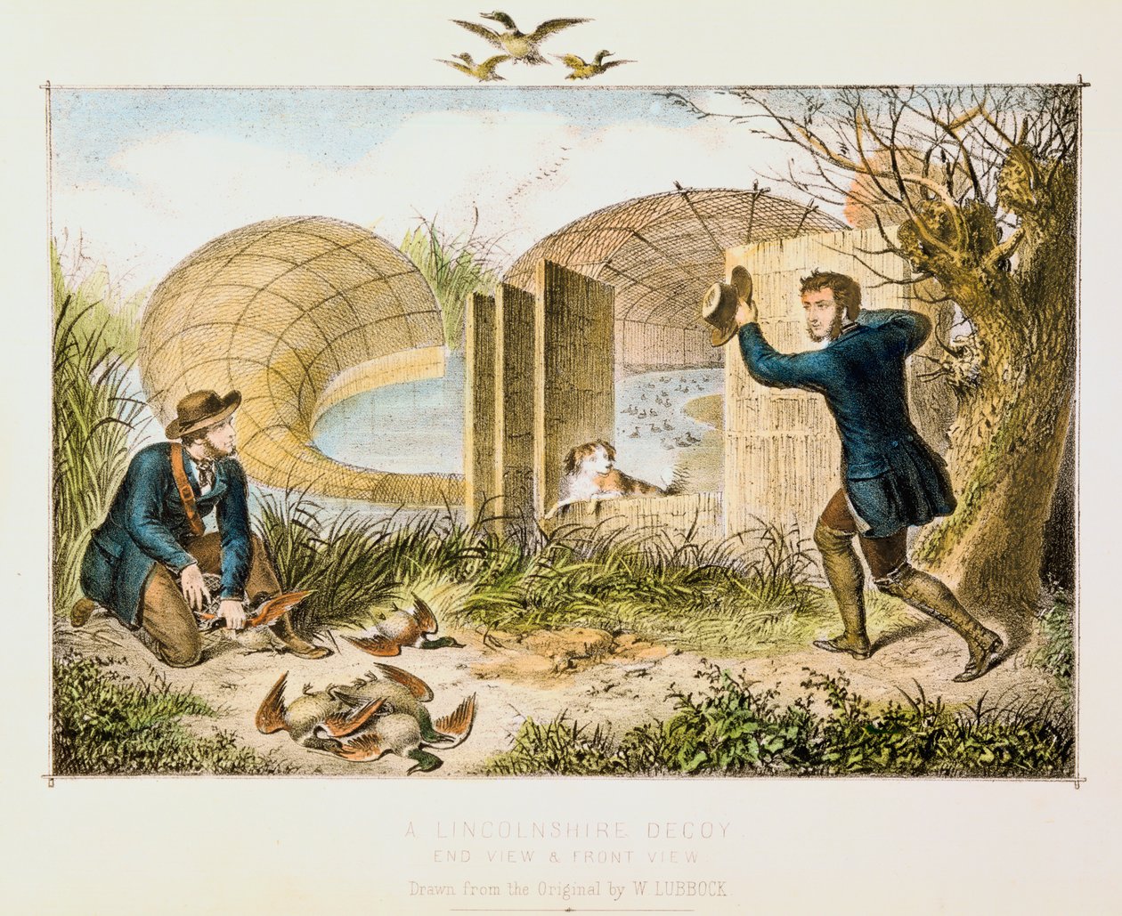 Lincolnshire Duck Decoy, c1845 alkotó: Unbekannt