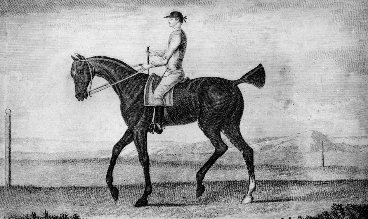 Kis sofőr, c1850-1900, 1911 alkotó: Unbekannt