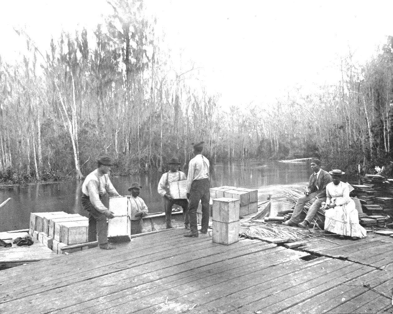 Narancs betöltése az Ocklawaha folyón, Florida, USA, 1900. alkotó: Unbekannt
