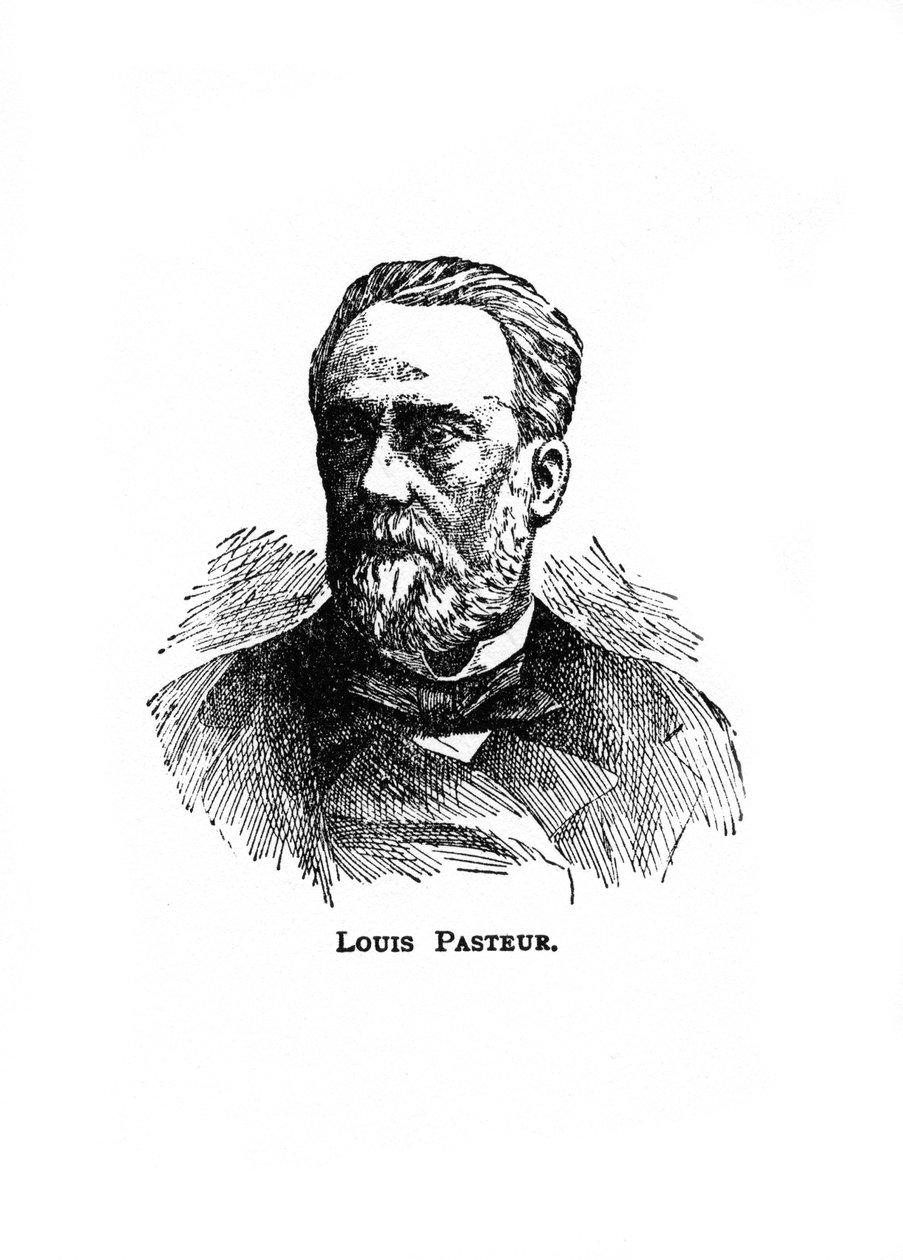 Louis Pasteur, 19. századi francia mikrobiológus és vegyész, XX alkotó: Unbekannt
