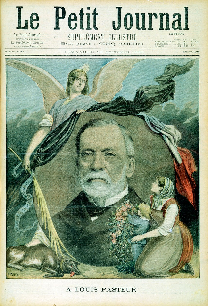 Louis Pasteur francia kémikus, 1895 alkotó: Unbekannt