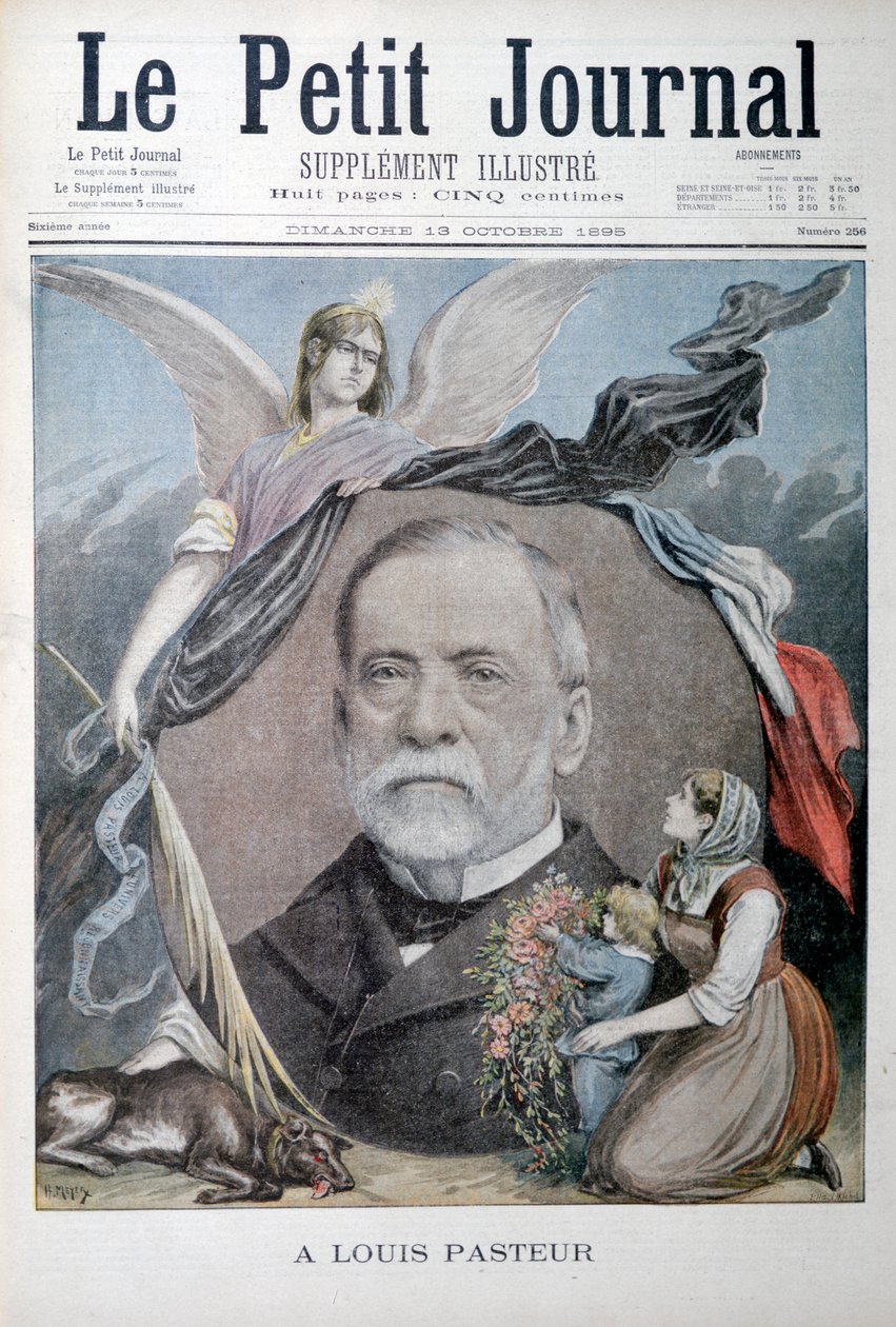 Louis Pasteur francia kémikus, 1895 alkotó: Unbekannt