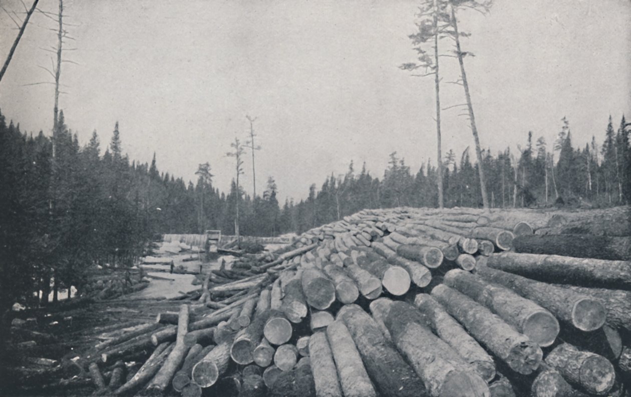 Fakitermelés, 1924 alkotó: Unbekannt