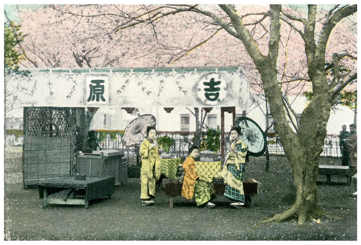 Ebédasztal egy nyilvános parkban, Japán, 1904 alkotó: Unbekannt