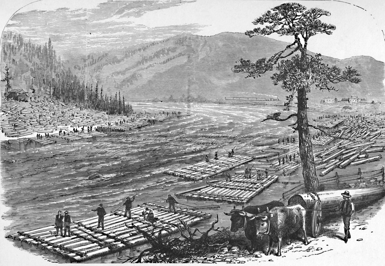 Tutajok készítése a Susquehanna folyón. Jelenet az erie-i vasút vonalán, 1883 alkotó: Unbekannt