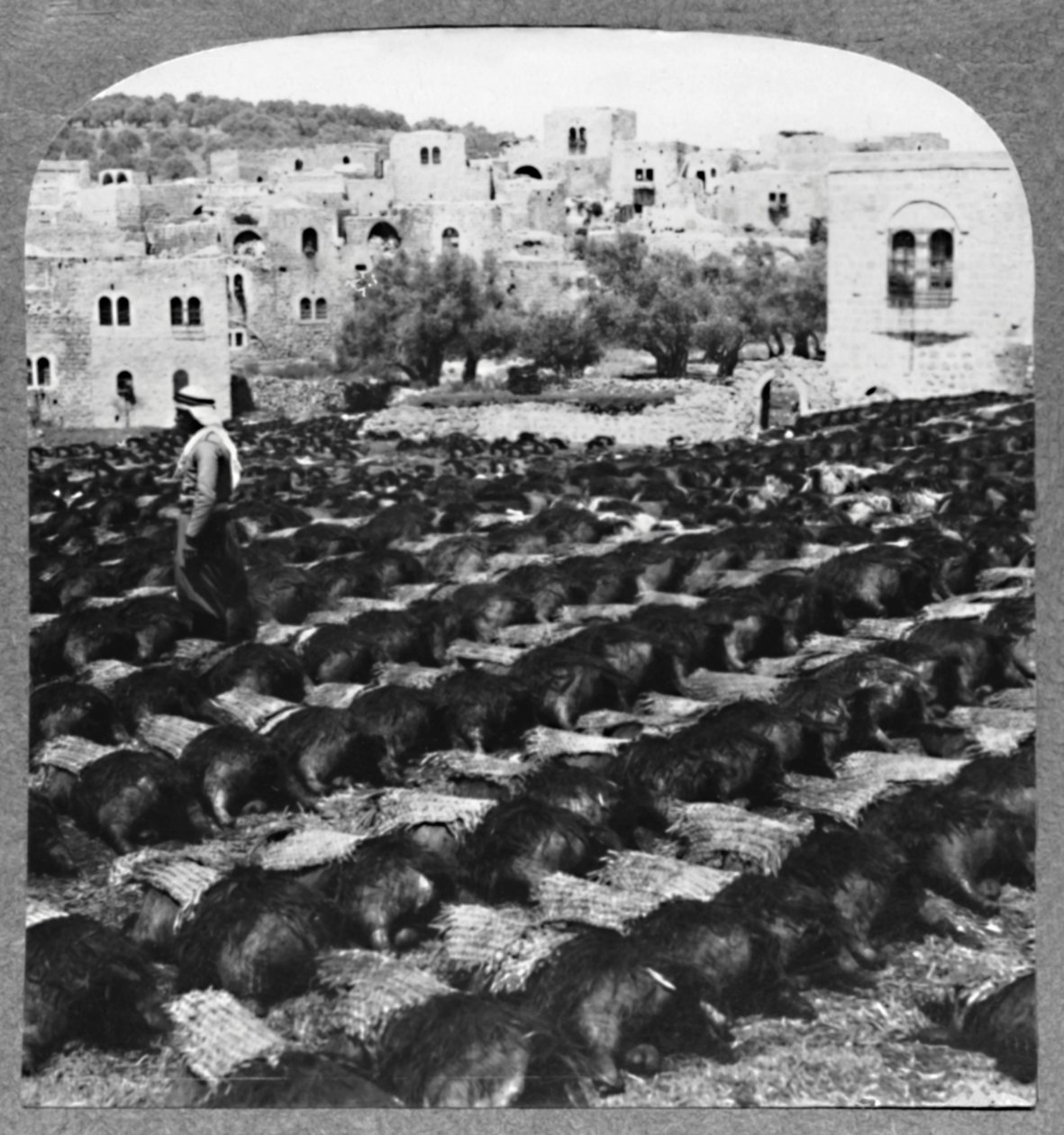 Borosüvegek készítése, Hebron, c1900 alkotó: Unbekannt