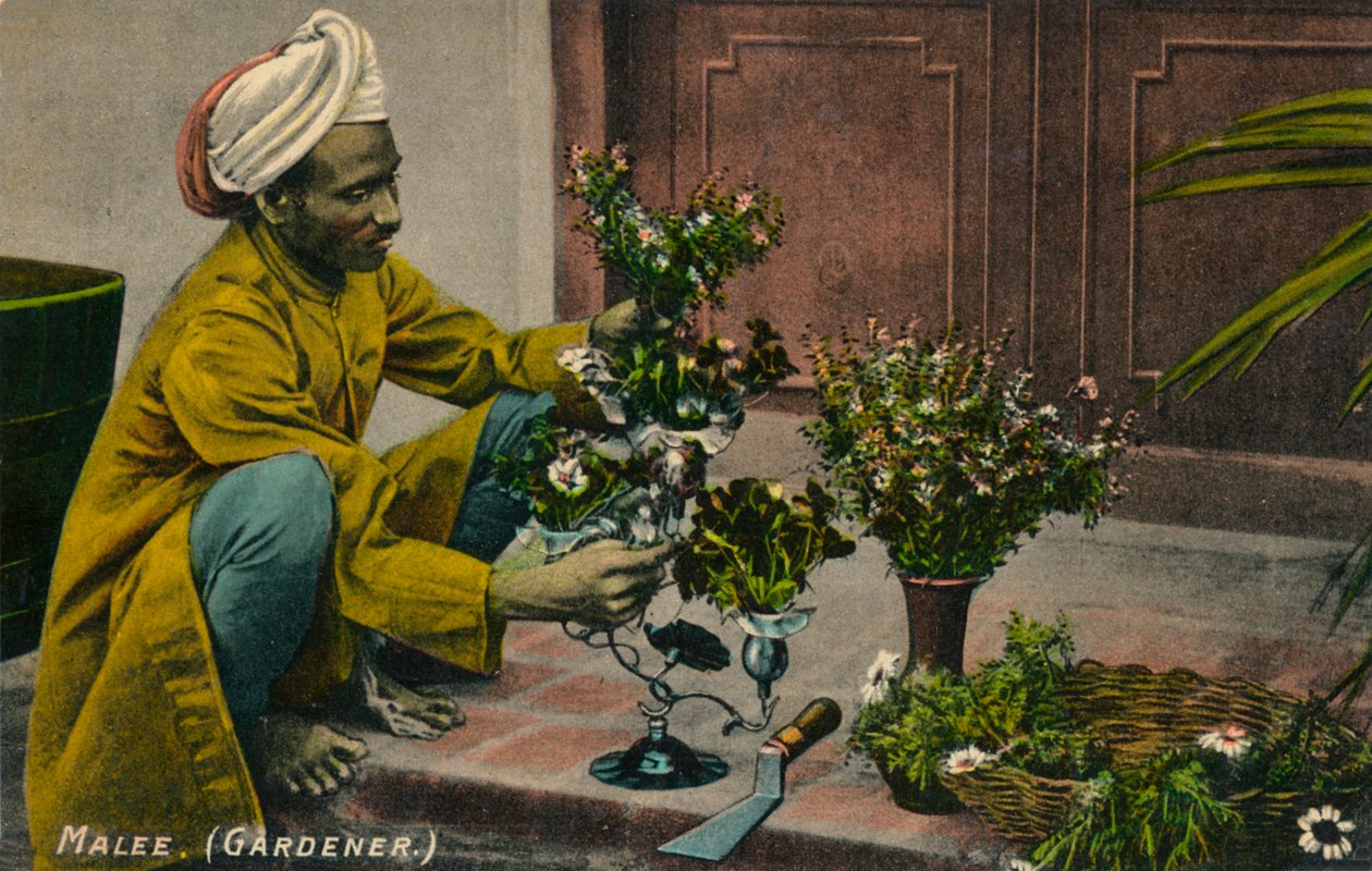Malee Gardener, c1900 alkotó: Unbekannt