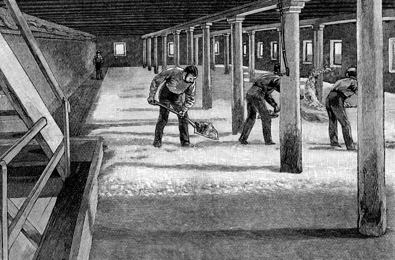 Malátapadló egy amerikai sörfőzdében, 1885 alkotó: Unbekannt