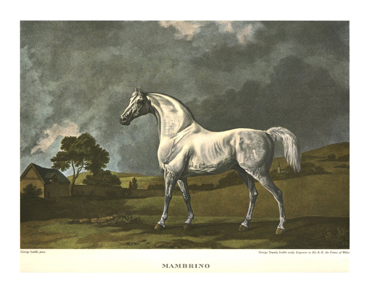 Mambrino, c1779, c1955. alkotó: Unbekannt