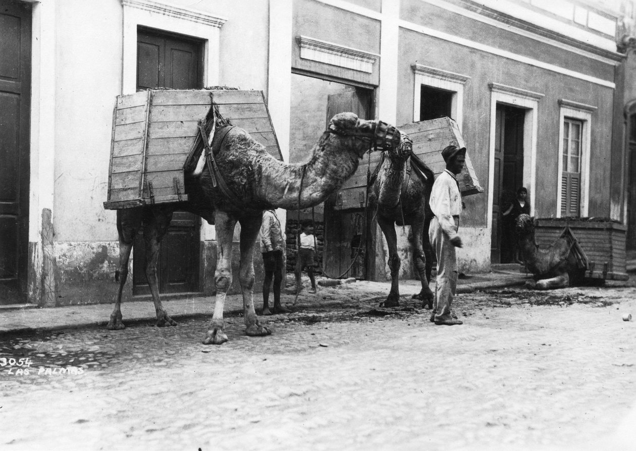 Ember tevékkel, Las Palmas, Gran Canaria, Kanári-szigetek, Spanyolország, 1920-c1930-as évek alkotó: Unbekannt