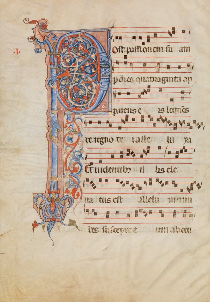 Kéziratos levél foltos P kezdőbetűvel, egy antifóniából, olasz, kb. 1250-60. alkotó: Unbekannt