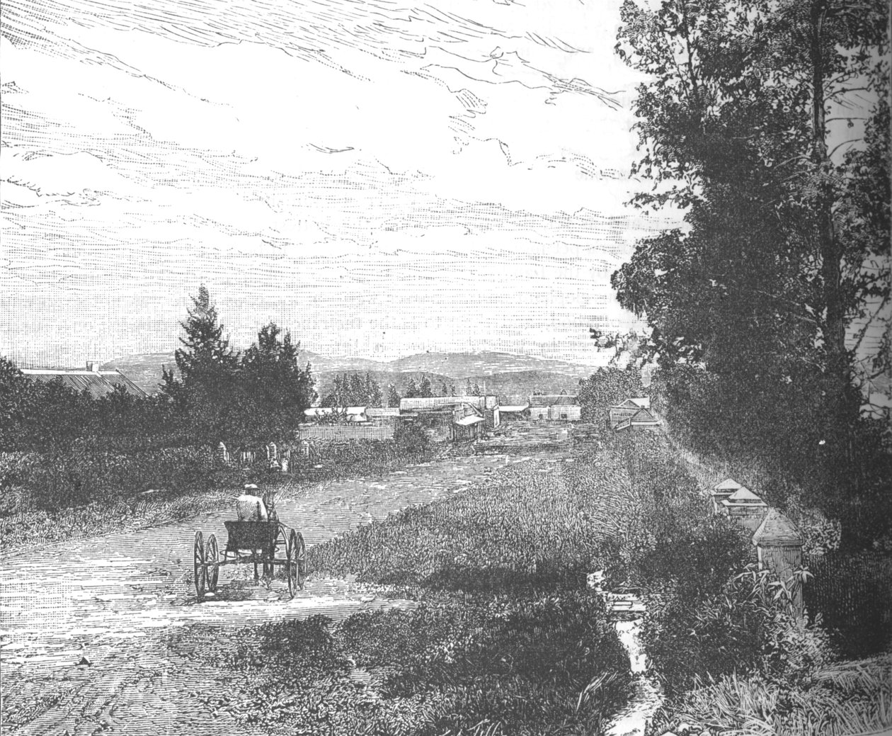 Market Street, Pretoria, 1880-as évek alkotó: Unbekannt