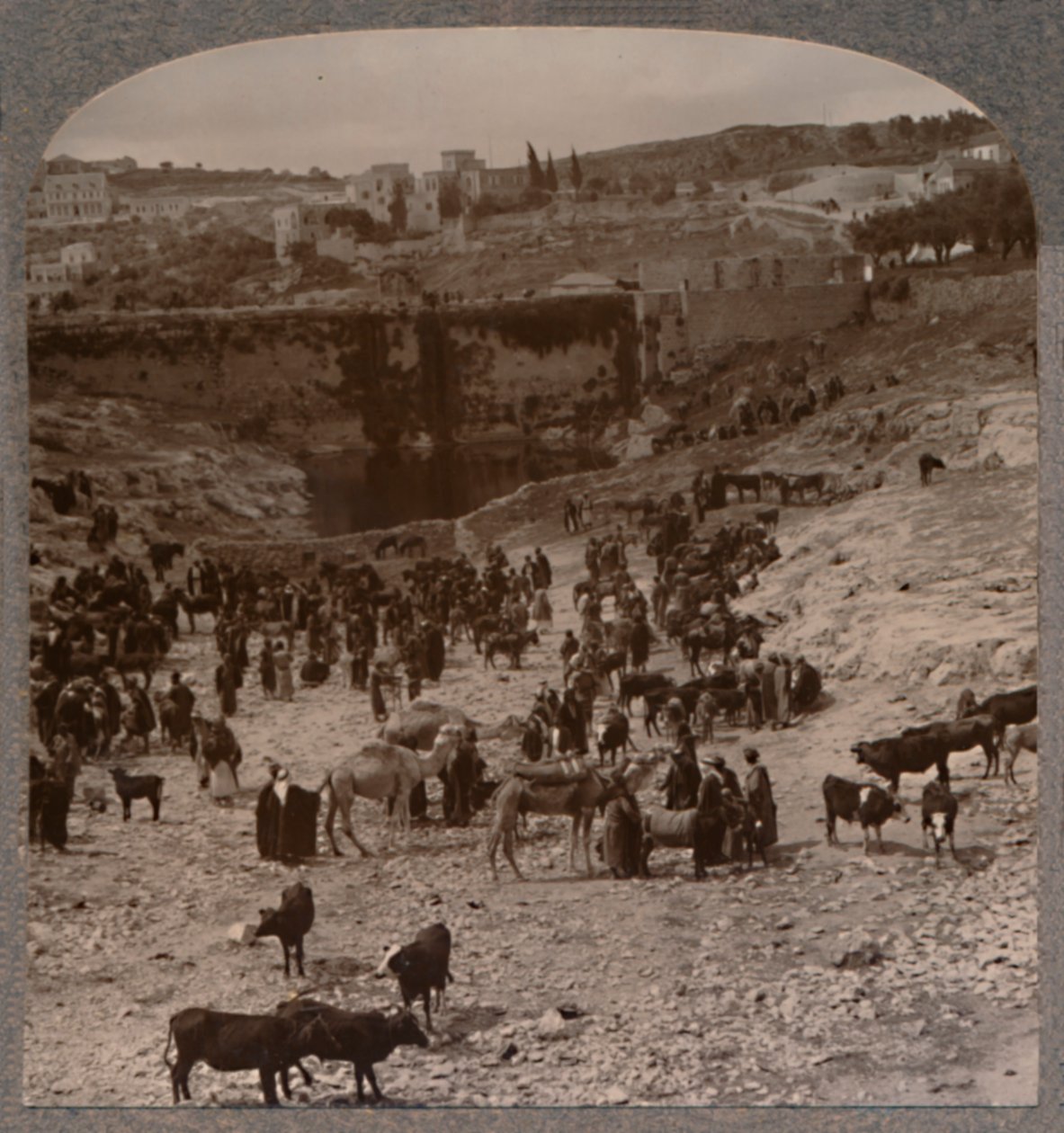Piacnap a Gihon-medencénél, 1900 alkotó: Unbekannt
