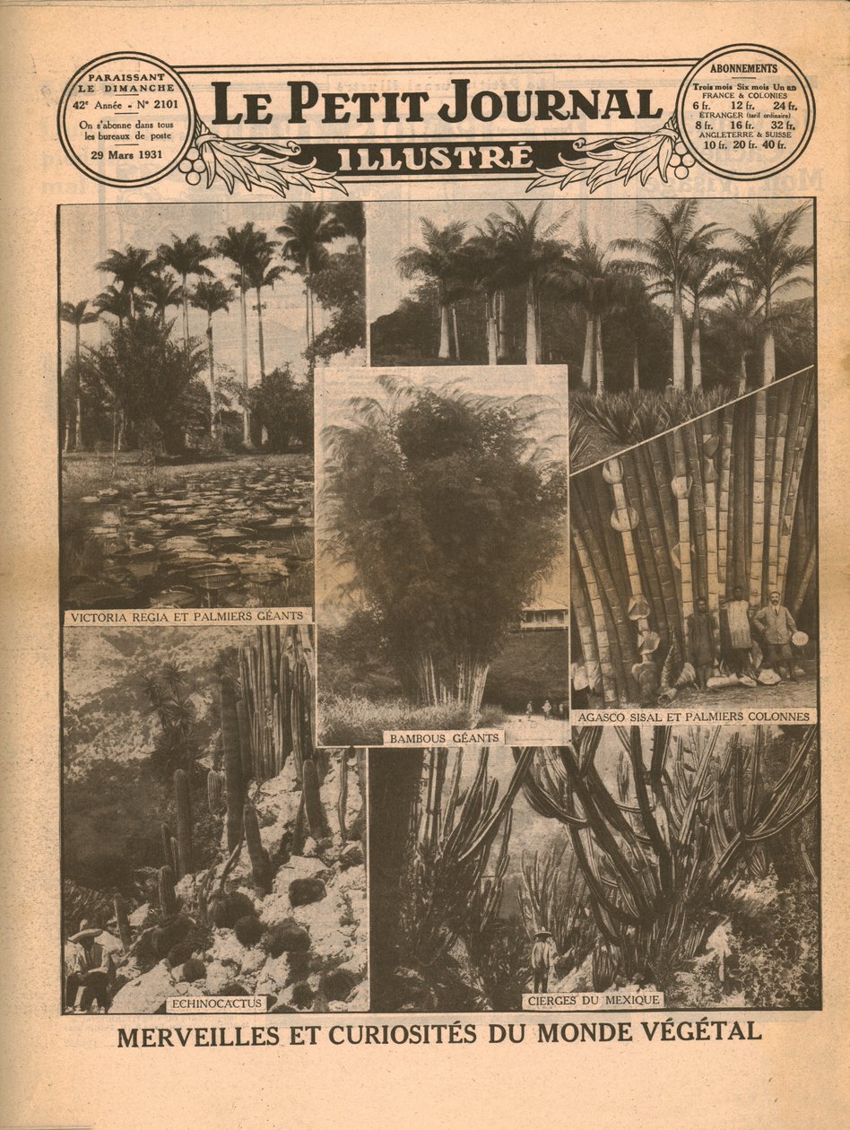 A növényvilág csodái és érdekességei, 1931. alkotó: Unbekannt