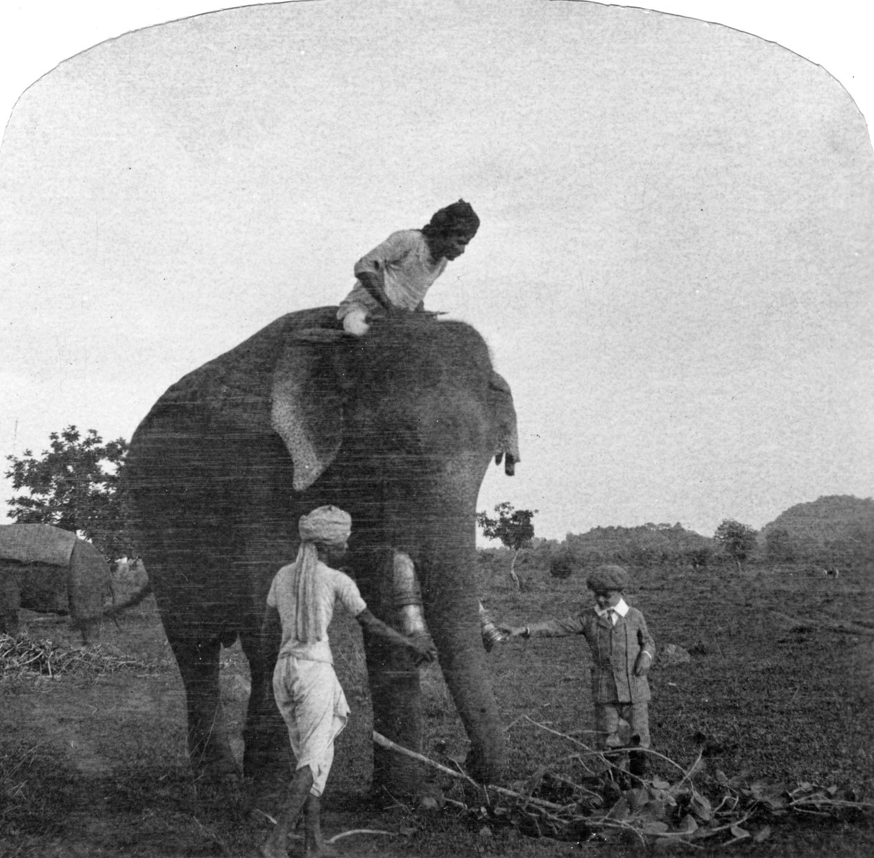 Ekbal mester egy elefántot etet, India, 1900-as évek alkotó: Unbekannt