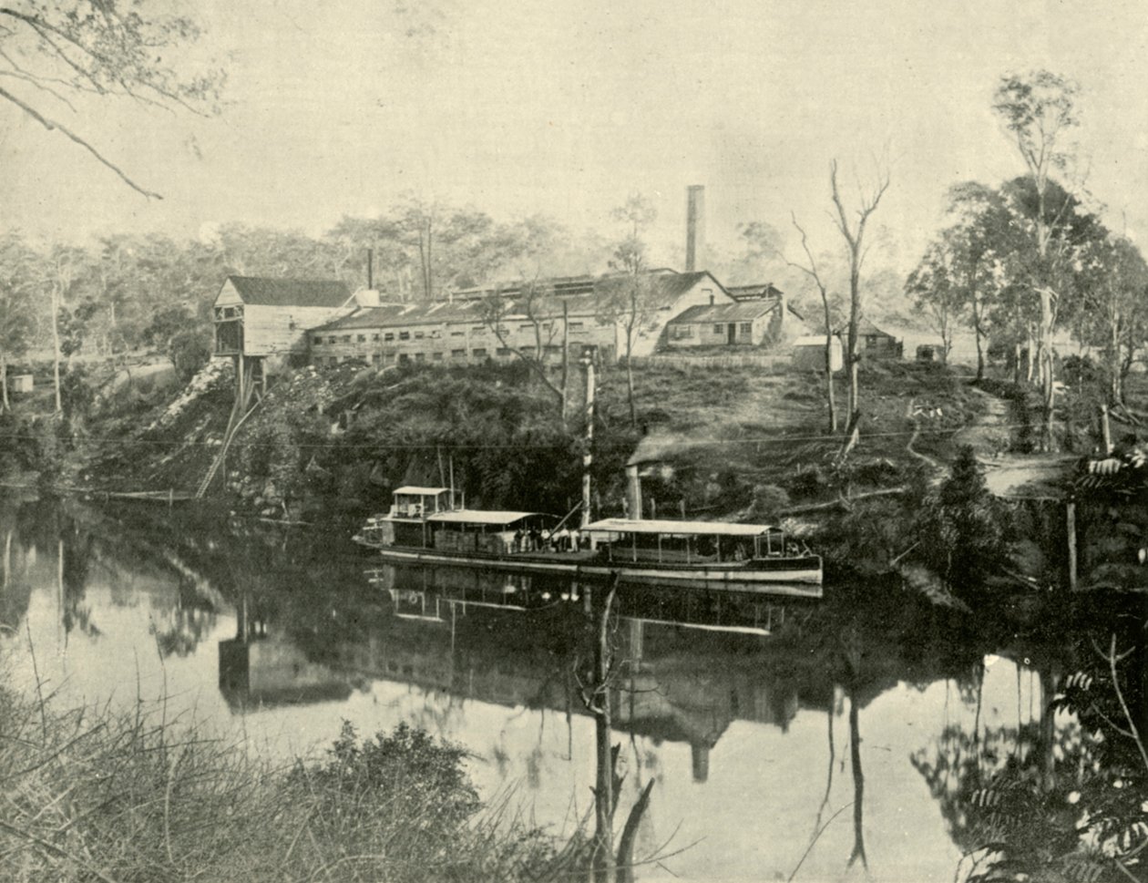 Meat Works, Grafton közelében, Új-Dél-Walesben, 1901. alkotó: Unbekannt