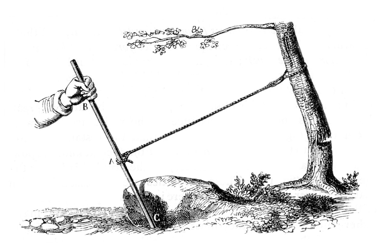 Mechanikai előny: A kar ereje, 1877 alkotó: Unbekannt