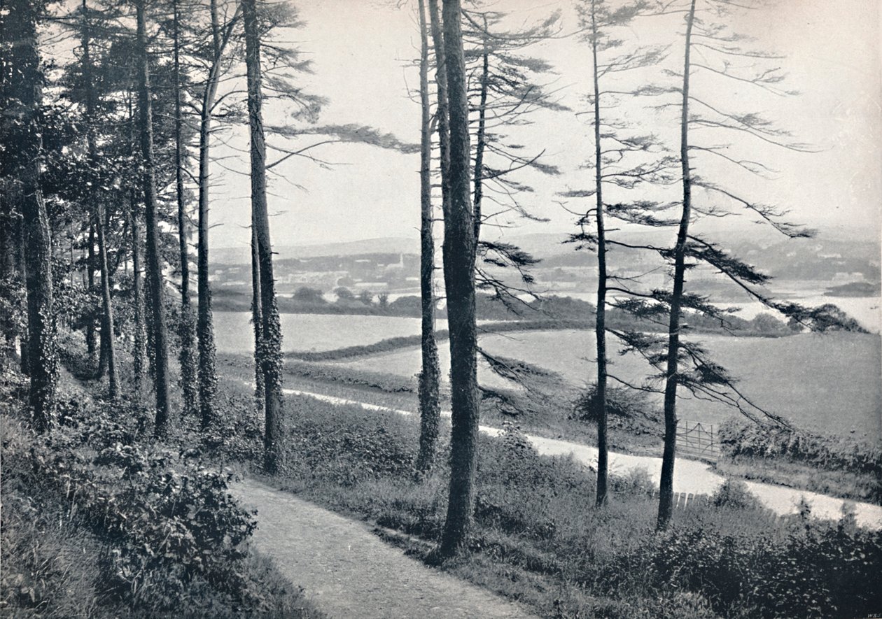 Menai – Bangor Woodból, 1895 alkotó: Unbekannt
