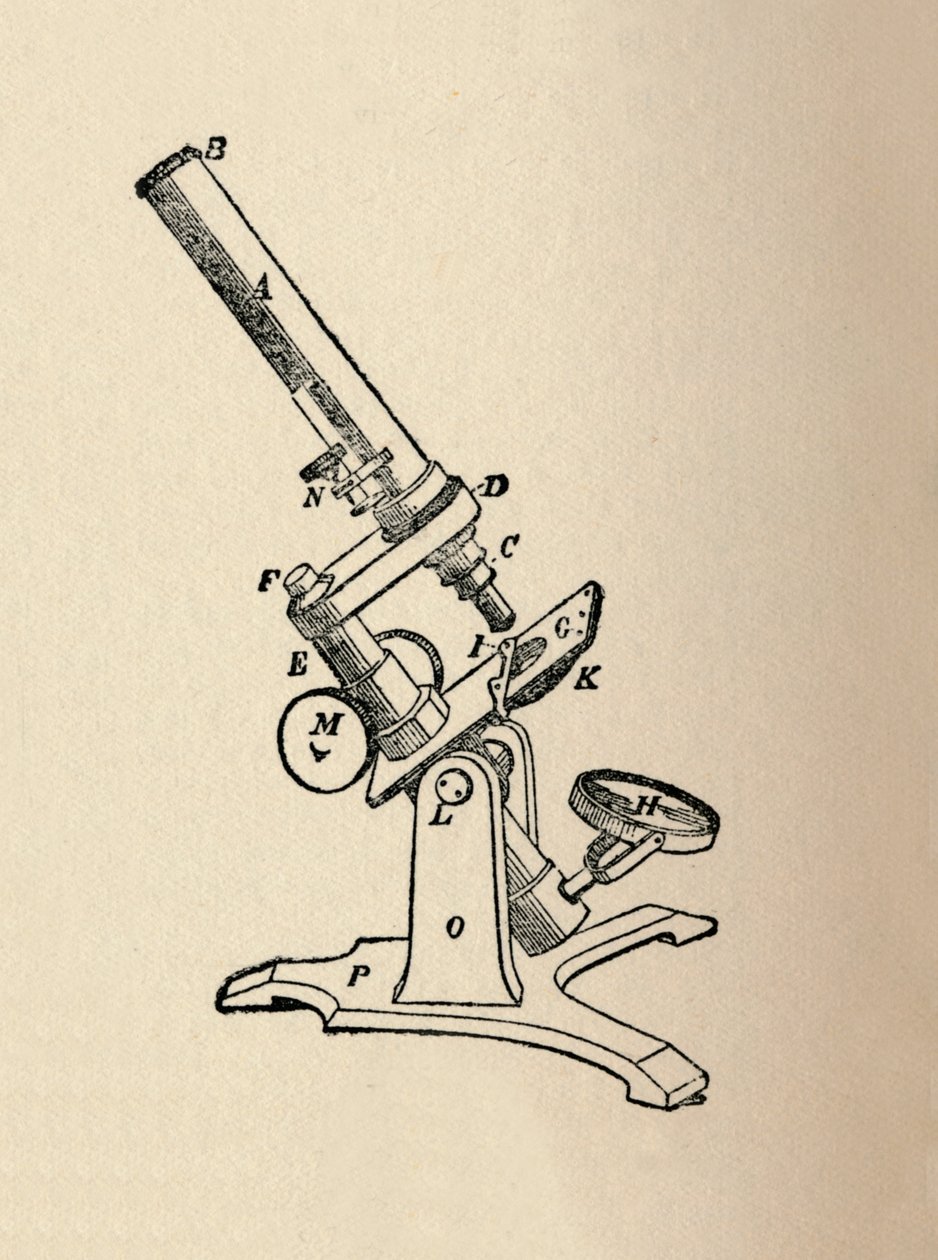 Mikroszkóp, 1912 alkotó: Unbekannt