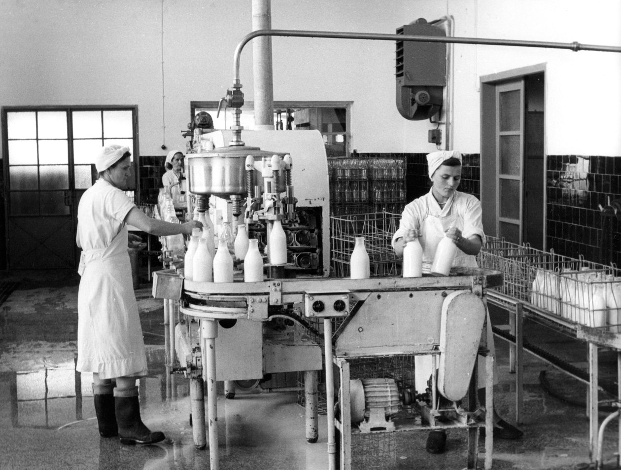 Tejtermelés, Zágráb, Jugoszlávia, 1952 alkotó: Unbekannt
